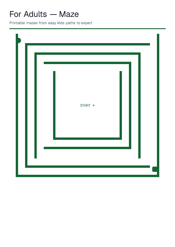 For Adults — Maze — printable PDF preview